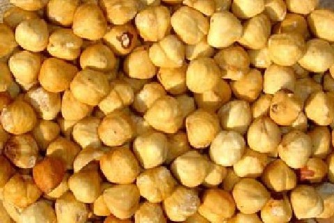 Roasted and Peeled Hazelnuts
